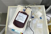 Фото: Официальный Телеграм-канал следственного управления Следственного комитета России по Запорожской области