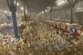 Фото: Запорожское агентство новостей