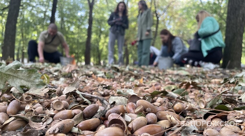 Фото: Запорожское агенство новостей