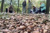 Фото: Запорожское агенство новостей