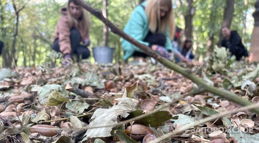 Фото: Запорожское агенство новостей