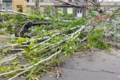 Фото: МЧС по Запорожской области