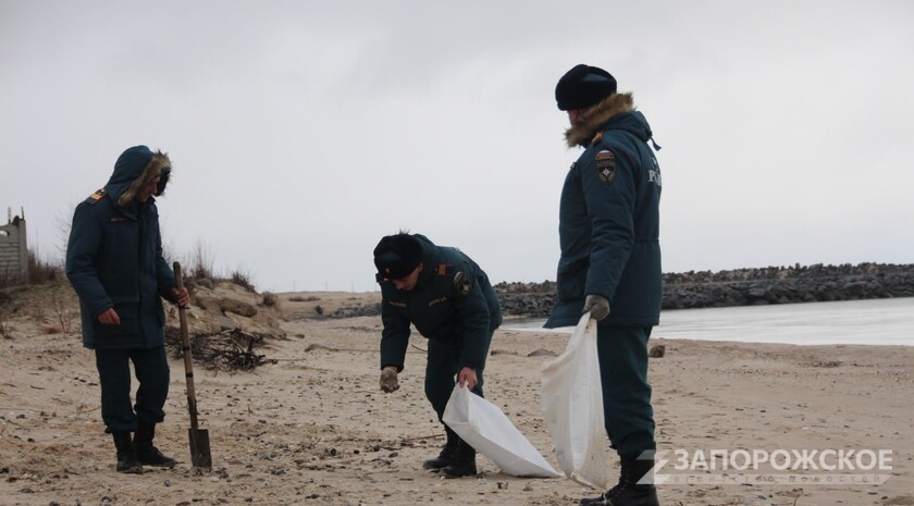 Фото: Запорожское агентство новостей