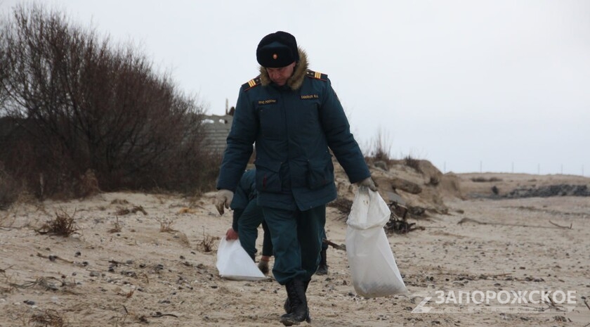 Фото: Запорожское агентство новостей