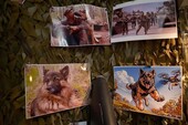 Фото: Запорожское агентство новостей