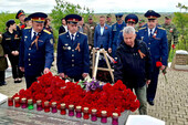 Фото: Запорожское агентство новостей