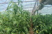 Фото: пресс-служба Управления социальной защиты