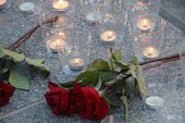 Фото: Запорожское агентство новостей