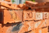 Фото: Луганский Информационный Центр/Анастасия Стеценко
