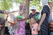 Фото: Запорожское агентство новостей