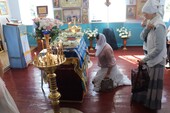 Фото: Запорожское агентство новостей 