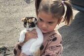 Фото: ГБУ ЗО "Ветеринарный центр"
