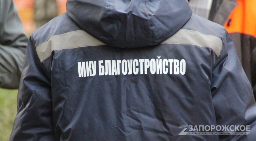 Фото: Запорожское агентство новостей