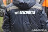 Фото: Запорожское агентство новостей