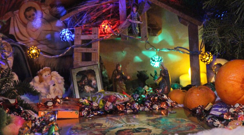 Фото: Запорожское агентство новостей