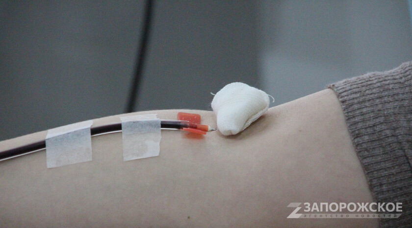 Фото: Запорожское агентство новостей