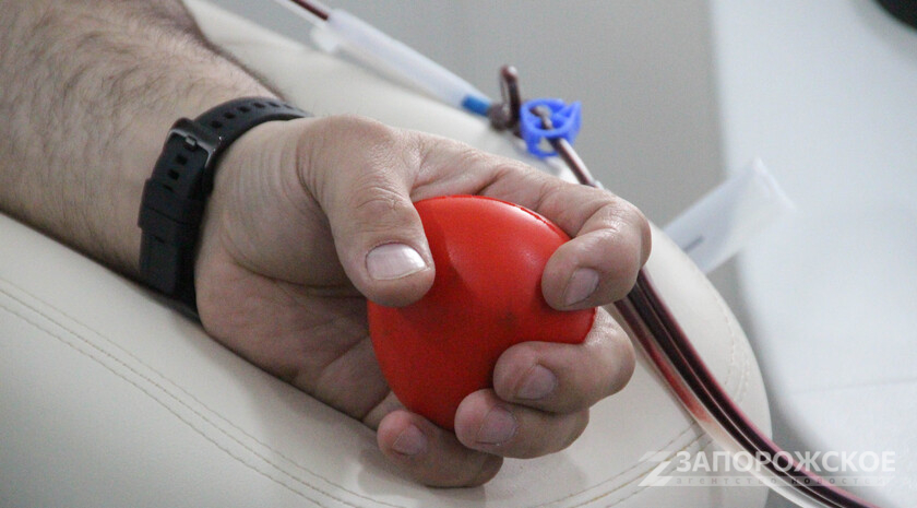 Фото: Запорожское агентство новостей