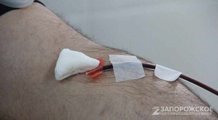 Фото: Запорожское агентство новостей