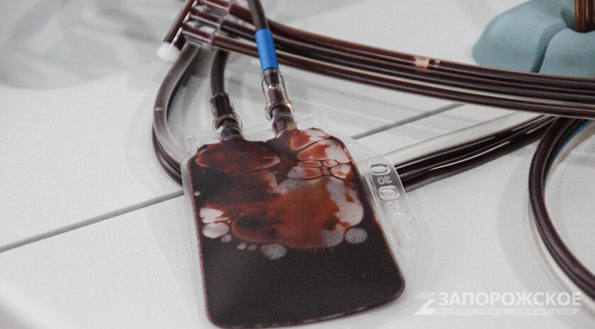 Фото: Запорожское агентство новостей