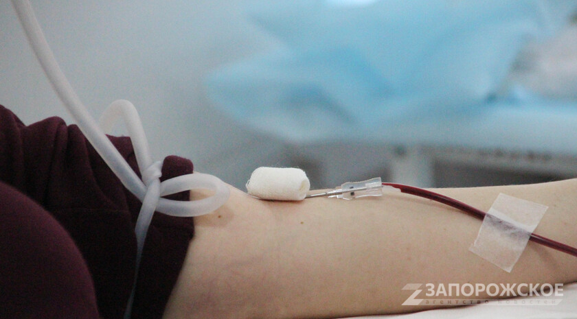 Фото: Запорожское агентство новостей