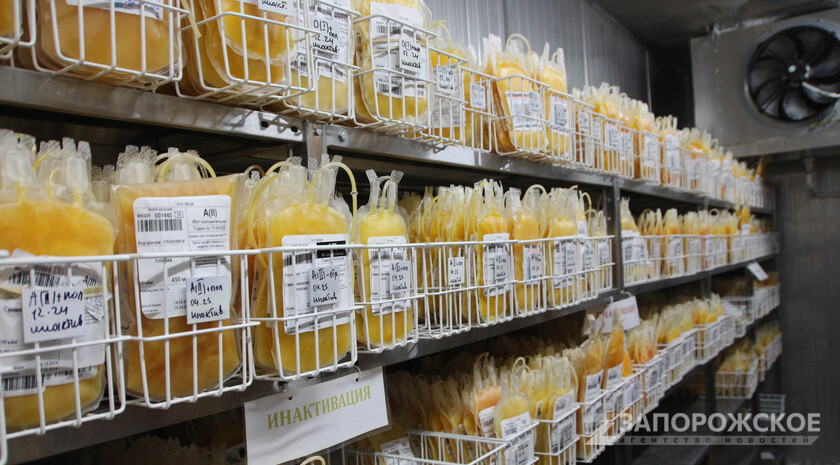 Фото: Запорожское агентство новостей