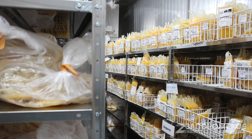 Фото: Запорожское агентство новостей