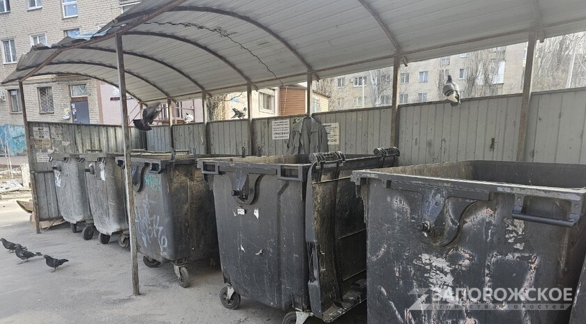 Фото: Запорожское агентство новостей